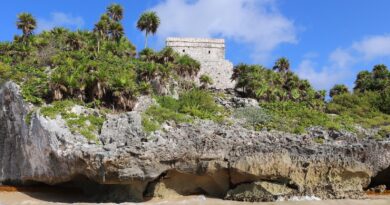 green trees on brown rocky hill under blue sky during daytime