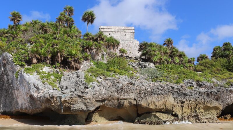 green trees on brown rocky hill under blue sky during daytime